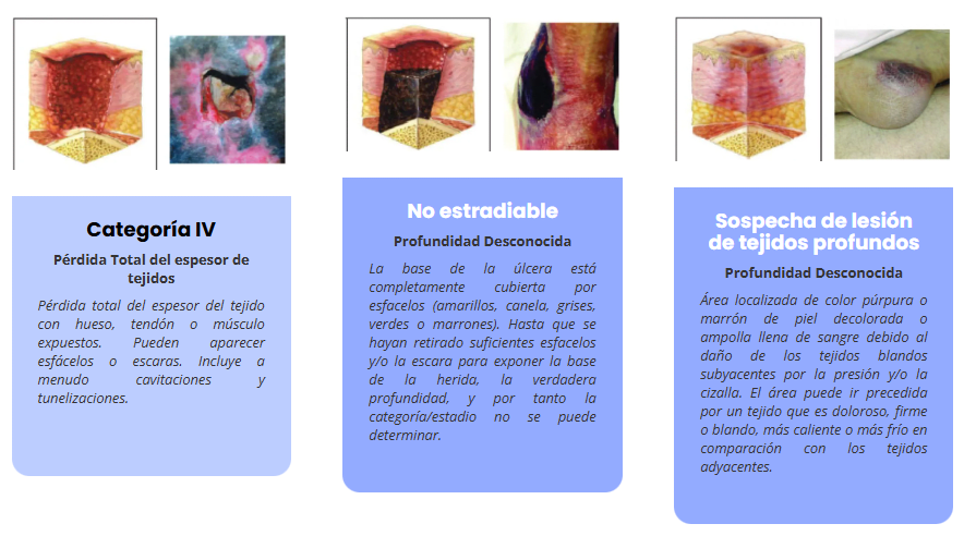 clasificacion-escaras-lpp
